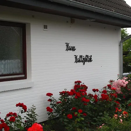 Apartment Haus Halligblick *