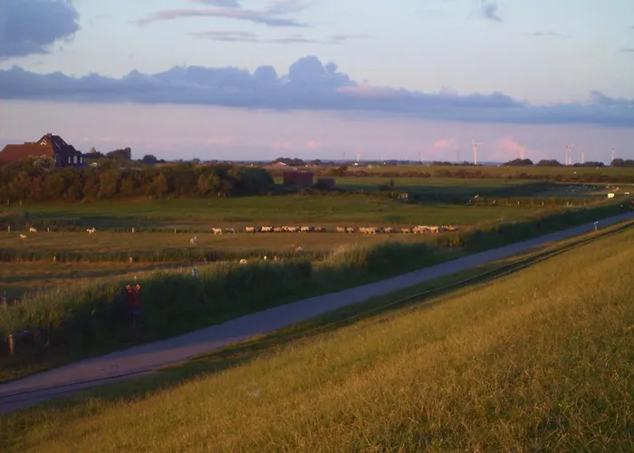 アパート Haus Halligblick