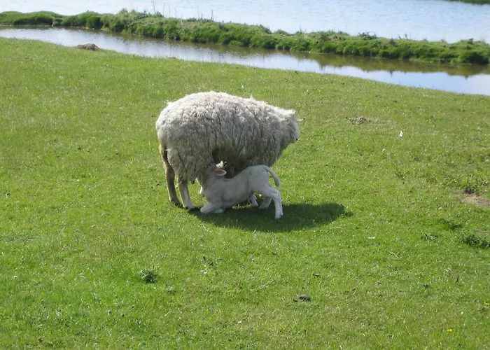 Haus Halligblick アパート