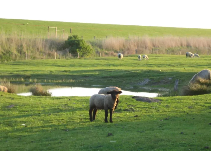 アパート Haus Halligblick Dagebüll