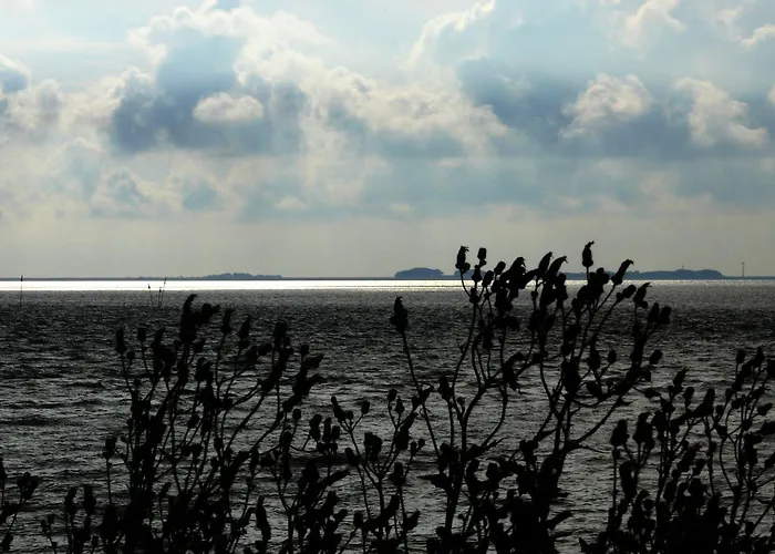 Haus Halligblick Dagebüll