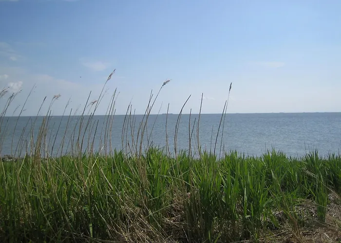 Haus Halligblick アパート *