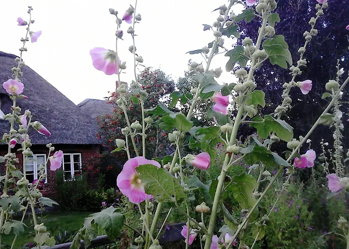 アパート Haus Halligblick