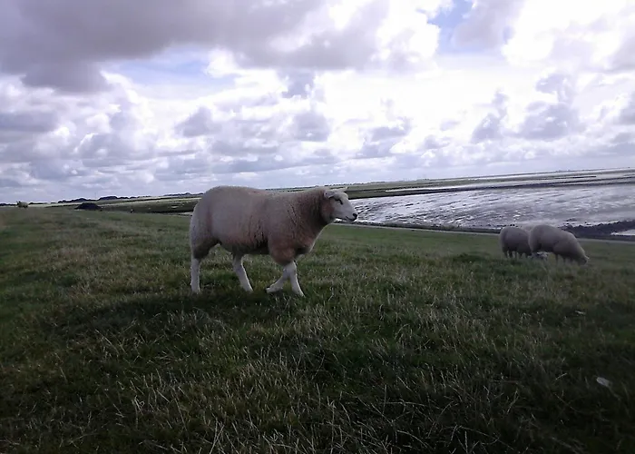 Haus Halligblick アパート Dagebüll