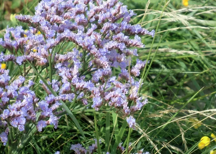 アパート Haus Halligblick