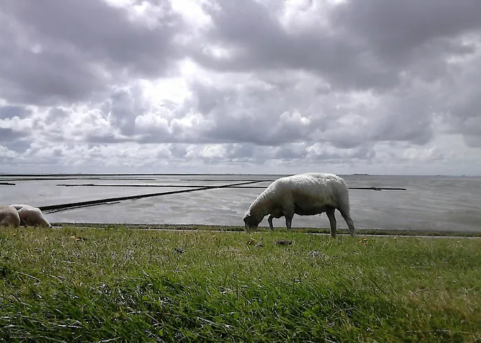 Haus Halligblick Dagebüll