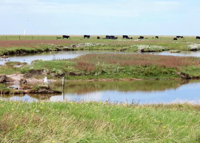 Haus Halligblick * Dagebüll