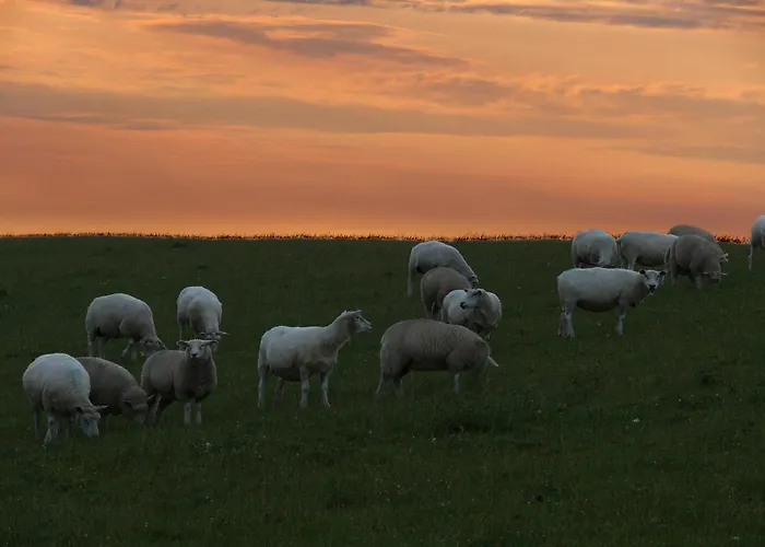 Haus Halligblick アパート *