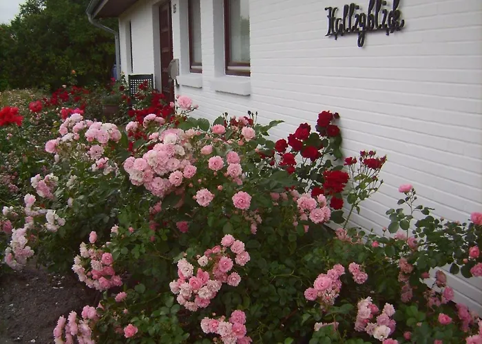 Haus Halligblick アパート